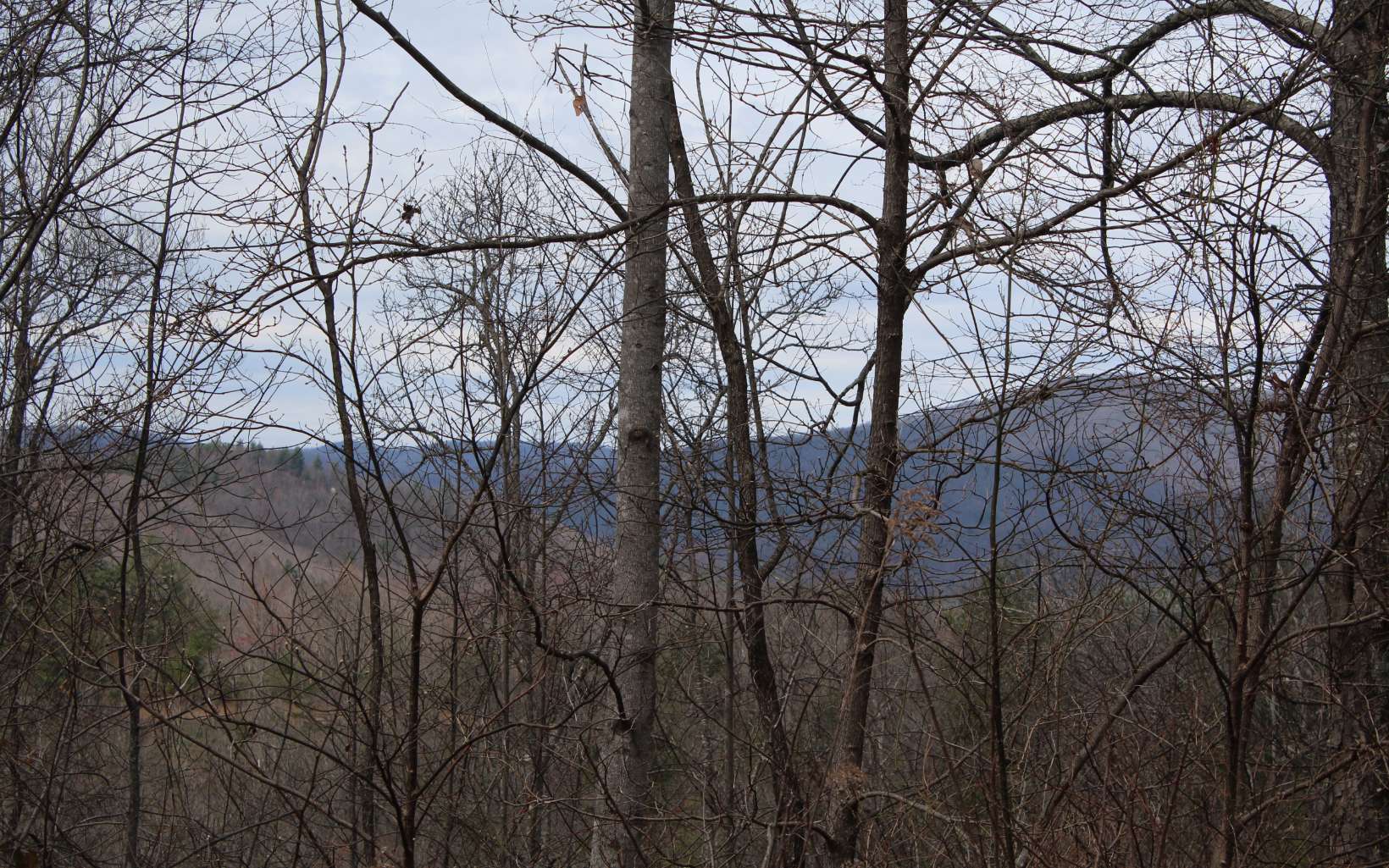 38 North N Ridge Hayesville, NC 28904 - Photo 3 of 17 Additional View