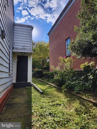 a view of a backyard with plants and large tree