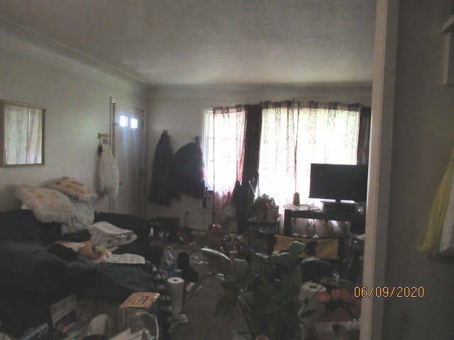 2494 South Duffield Road Lennon, MI 48449 - Photo 22 of 25 50013942-22.JPG