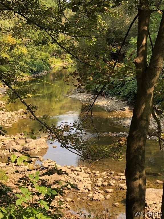 271 Bennett Road Cheektowaga, NY 14227 - Photo 5 of 27 BACK CREEK - QUIET AND RELAXING