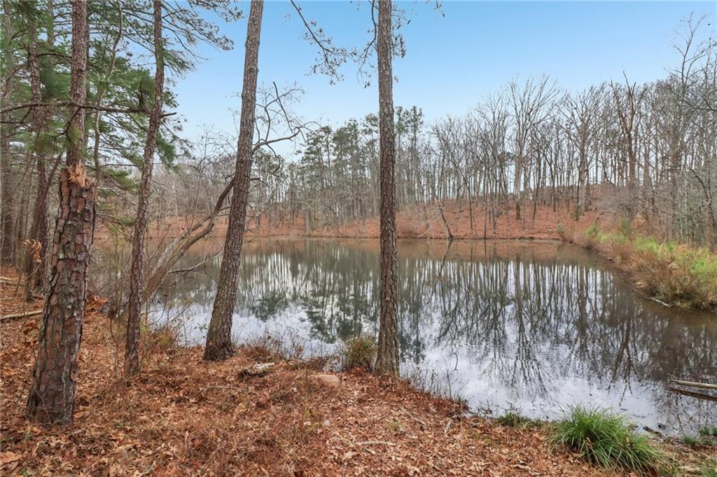 175 Meredith Way Stockbridge, GA 30281 - Photo 4 of 75