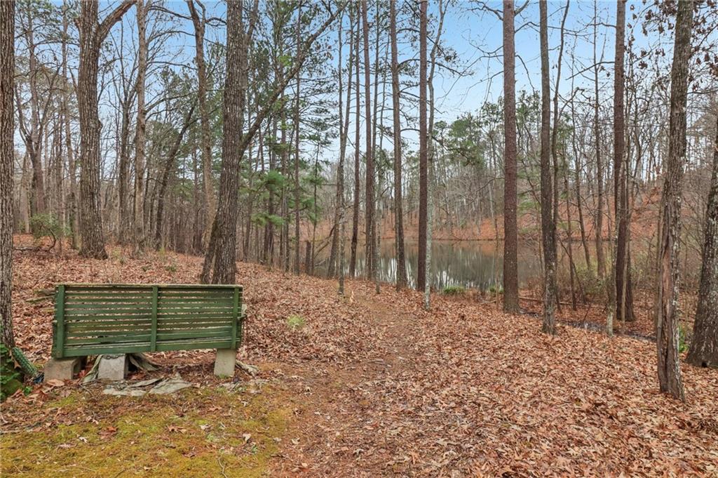 175 Meredith Way Stockbridge, GA 30281 - Photo 69 of 75