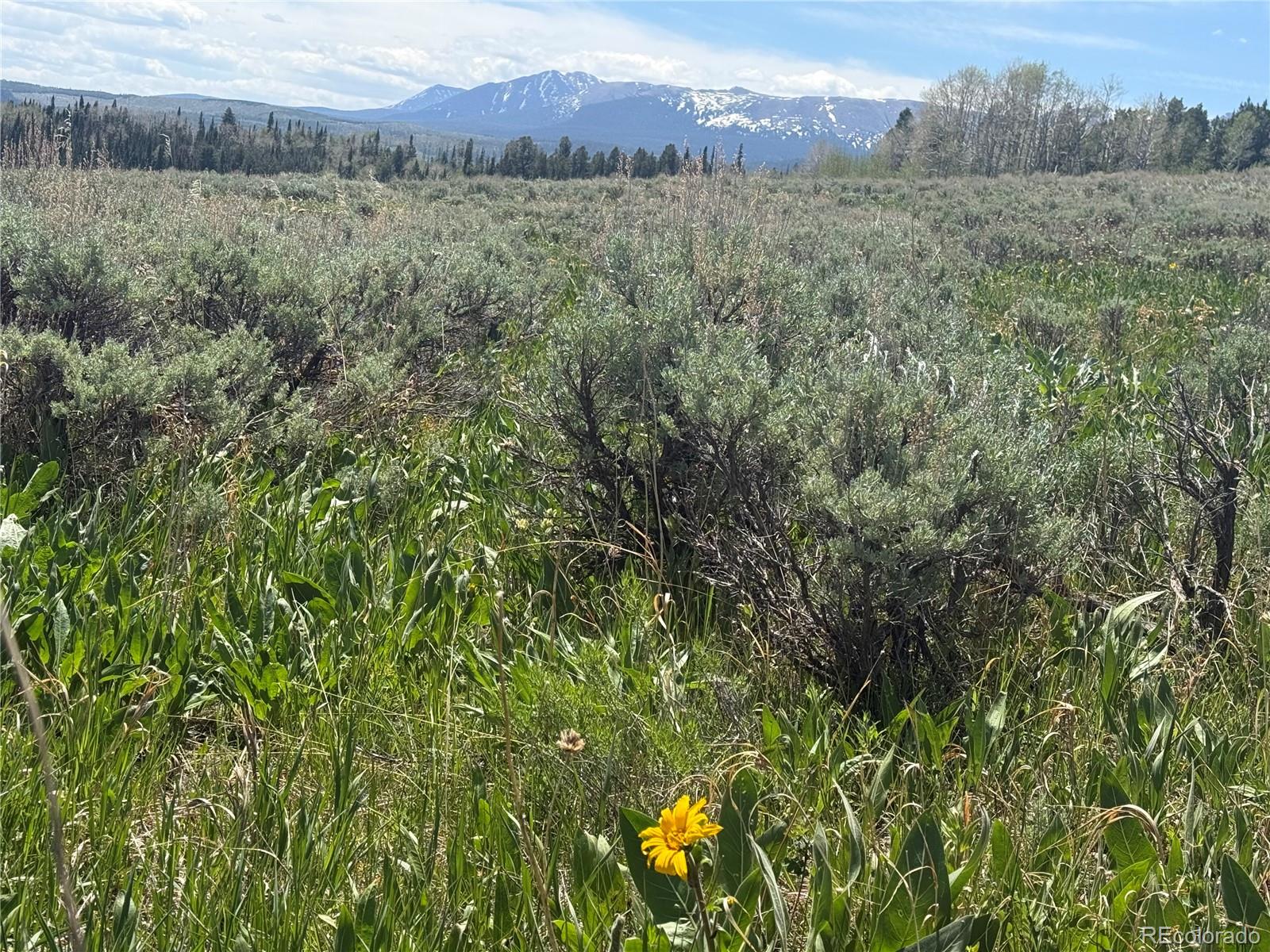 Spring Creek Ranch Road Silverthorne, CO 80498 - Photo 8 of 38