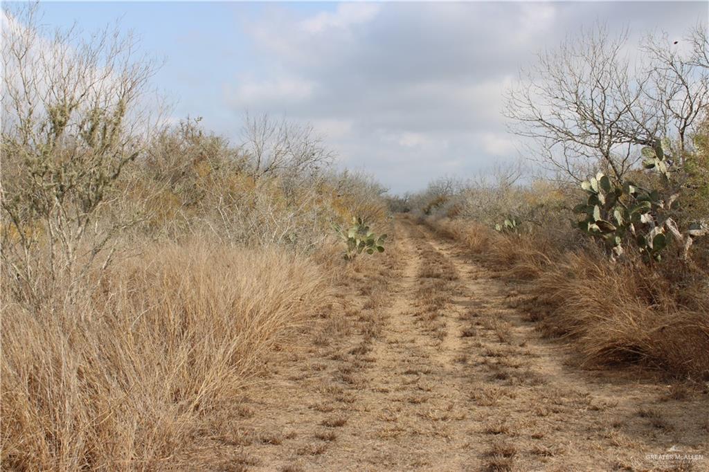 0 Private Encino, TX 78353 - Photo 12 of 29 a view of a dry yard with trees