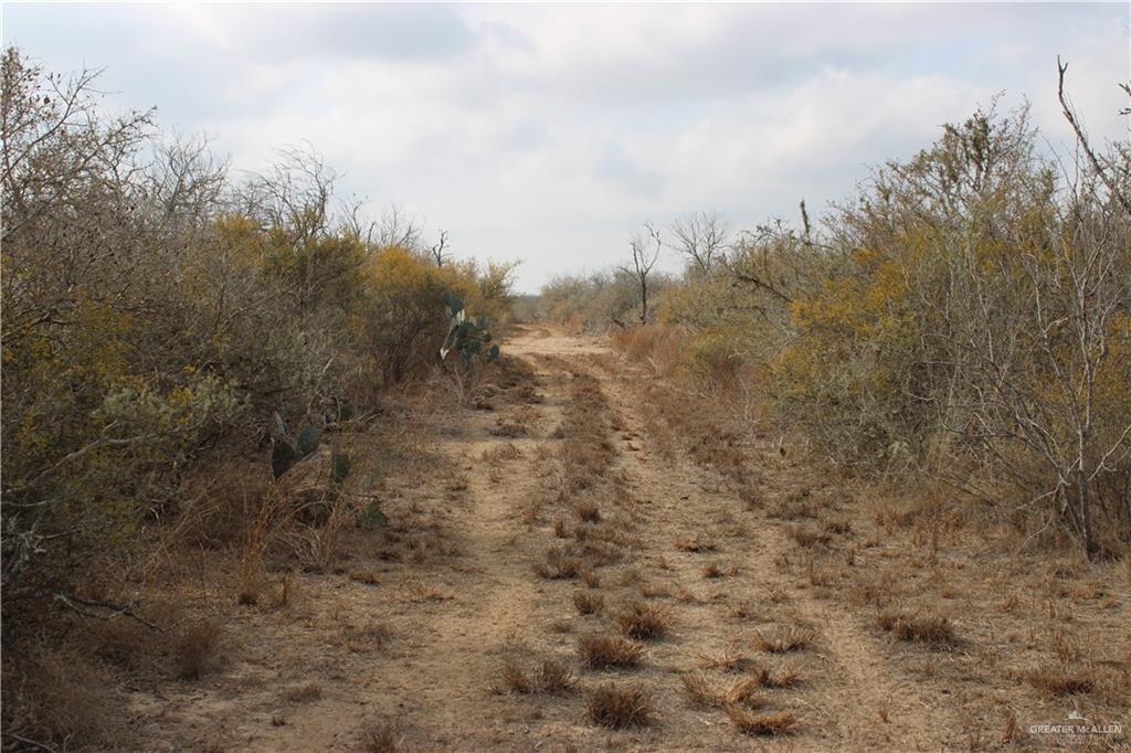0 Private Encino, TX 78353 - Photo 13 of 29 a view of a dry yard with trees in back