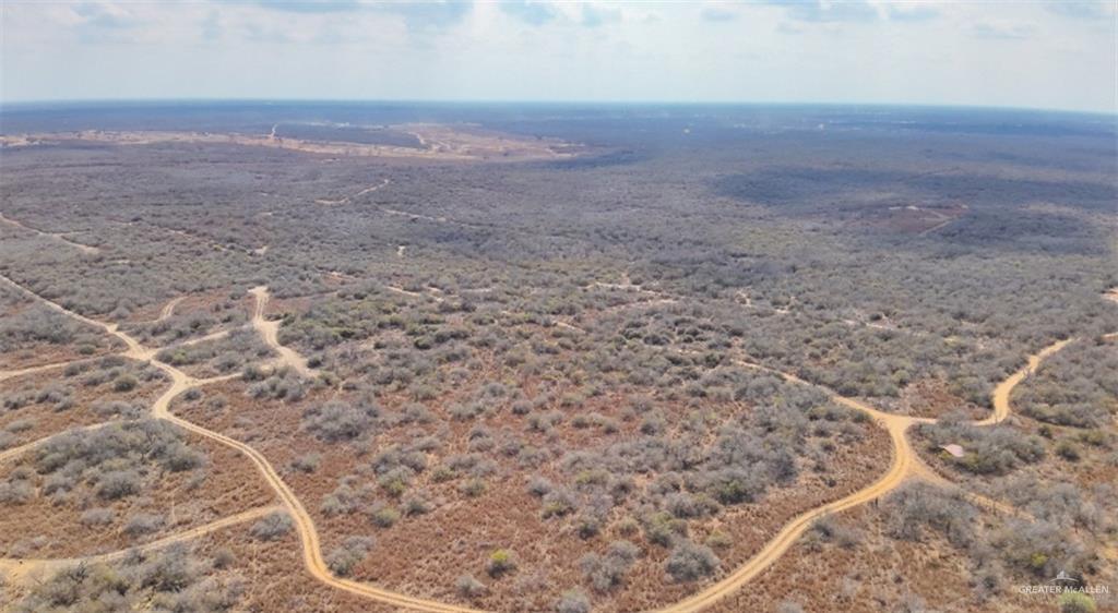 0 Private Encino, TX 78353 - Photo 18 of 29 a view of a dry yard with wooden floor