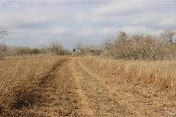 a view of lake with lots of trees