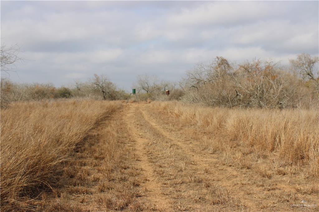 0 Private Encino, TX 78353 - Photo 2 of 29 a view of lake with lots of trees