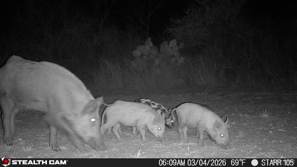 0 Private Encino, TX 78353 - Photo 28 of 29 a picture of a room with furniture