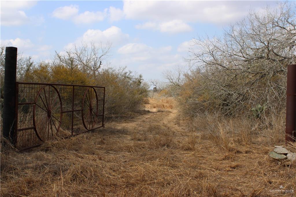 0 Private Encino, TX 78353 - Photo 5 of 29 a view of a pathway with a wrought fence