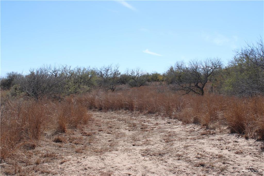 0 Private Encino, TX 78353 - Photo 9 of 29 a view of a dry yard with trees