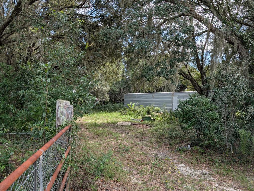 109 Rhododendron Lane Interlachen, FL 32148 - Photo 5 of 7 a backyard of a house with lots of green space