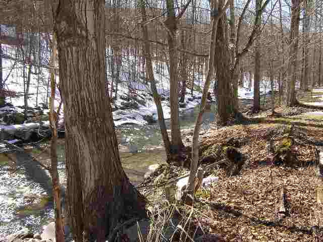 392 Ashgrove Road Cambridge, NY 12816 - Photo 3 of 3 Photo 3