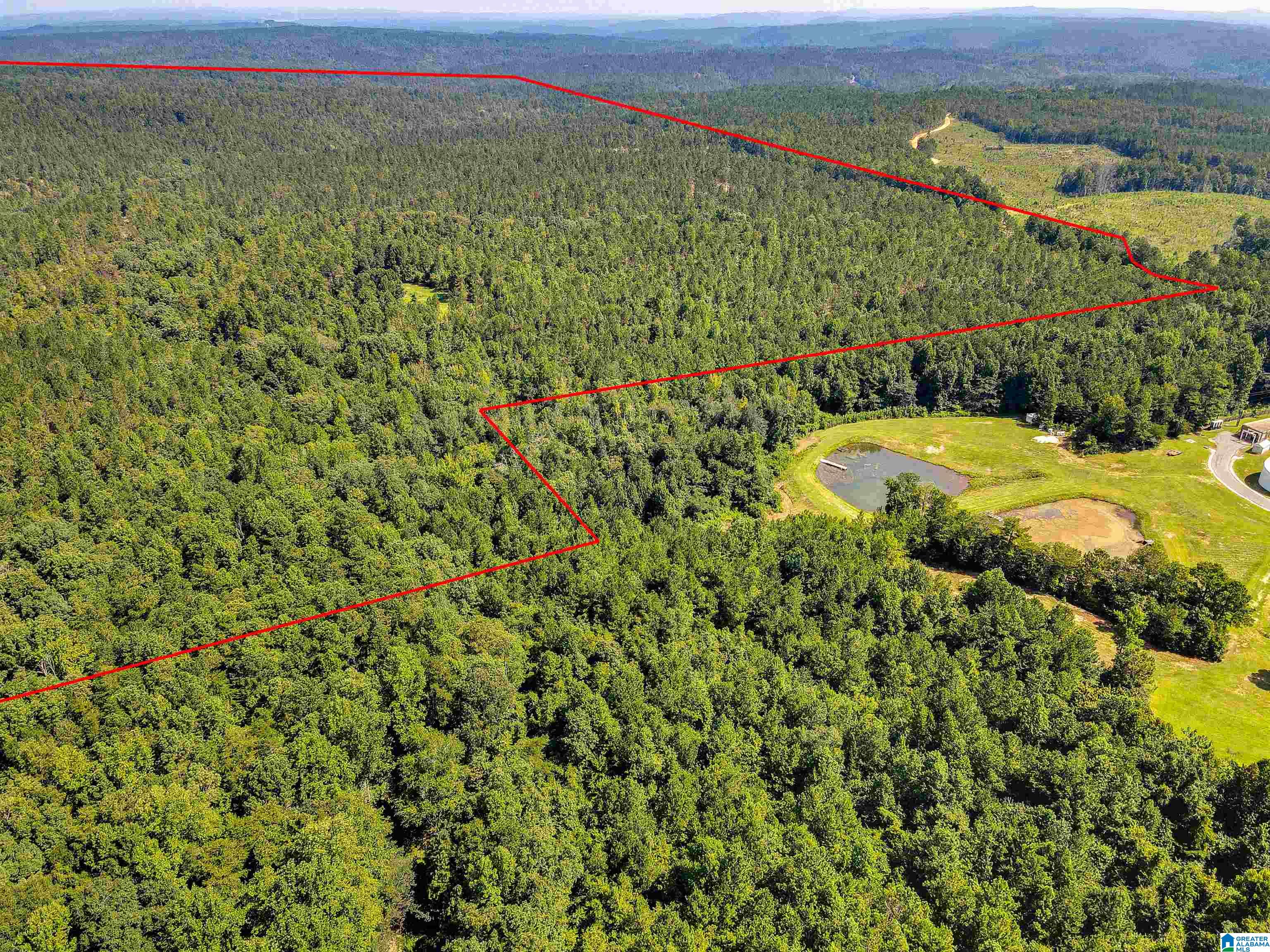 0 County Road 465, Unit 1 Clanton, AL 35045 - Photo 4 of 16