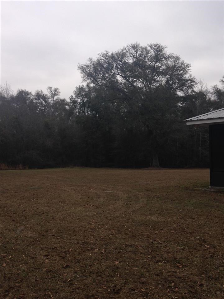 9243 South Salt Road Lamont, FL 32336 - Photo 1 of 25 Gallery Image 1