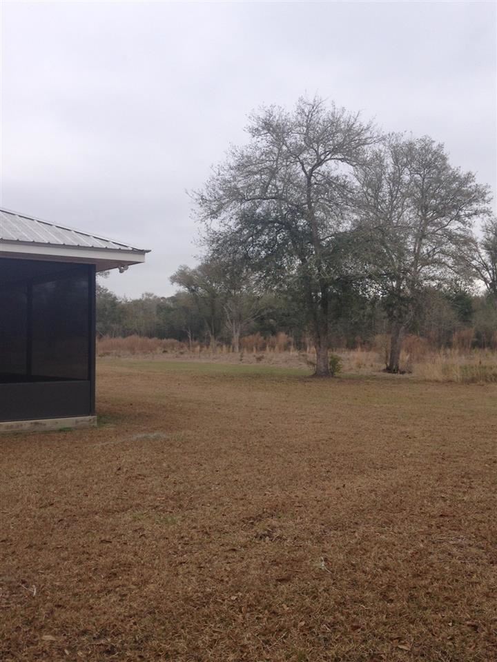 9243 South Salt Road Lamont, FL 32336 - Photo 3 of 25 Gallery Image 3