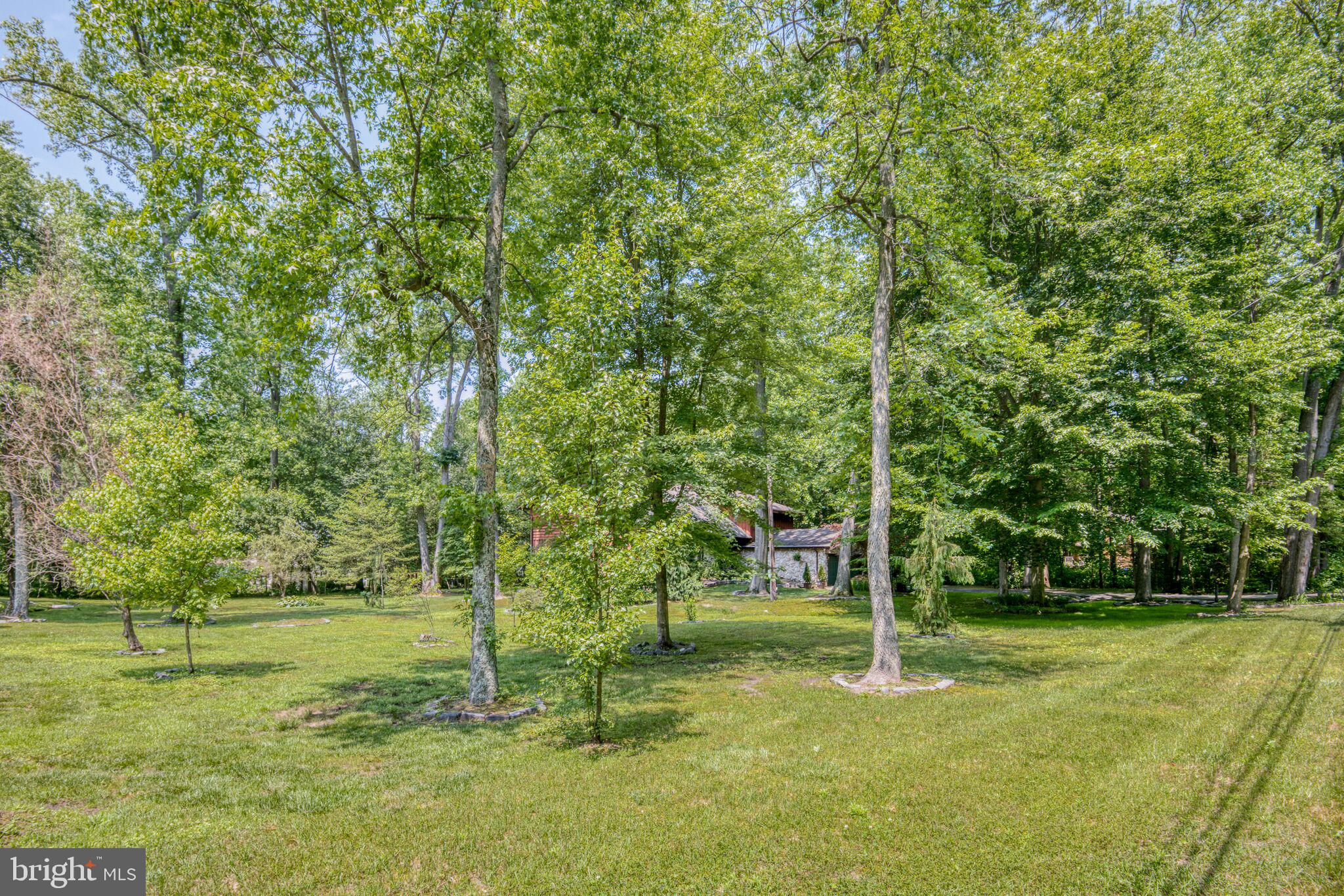 667 Jackson Road Mullica Hill, NJ 08062 - Photo 53 of 69 Side yard