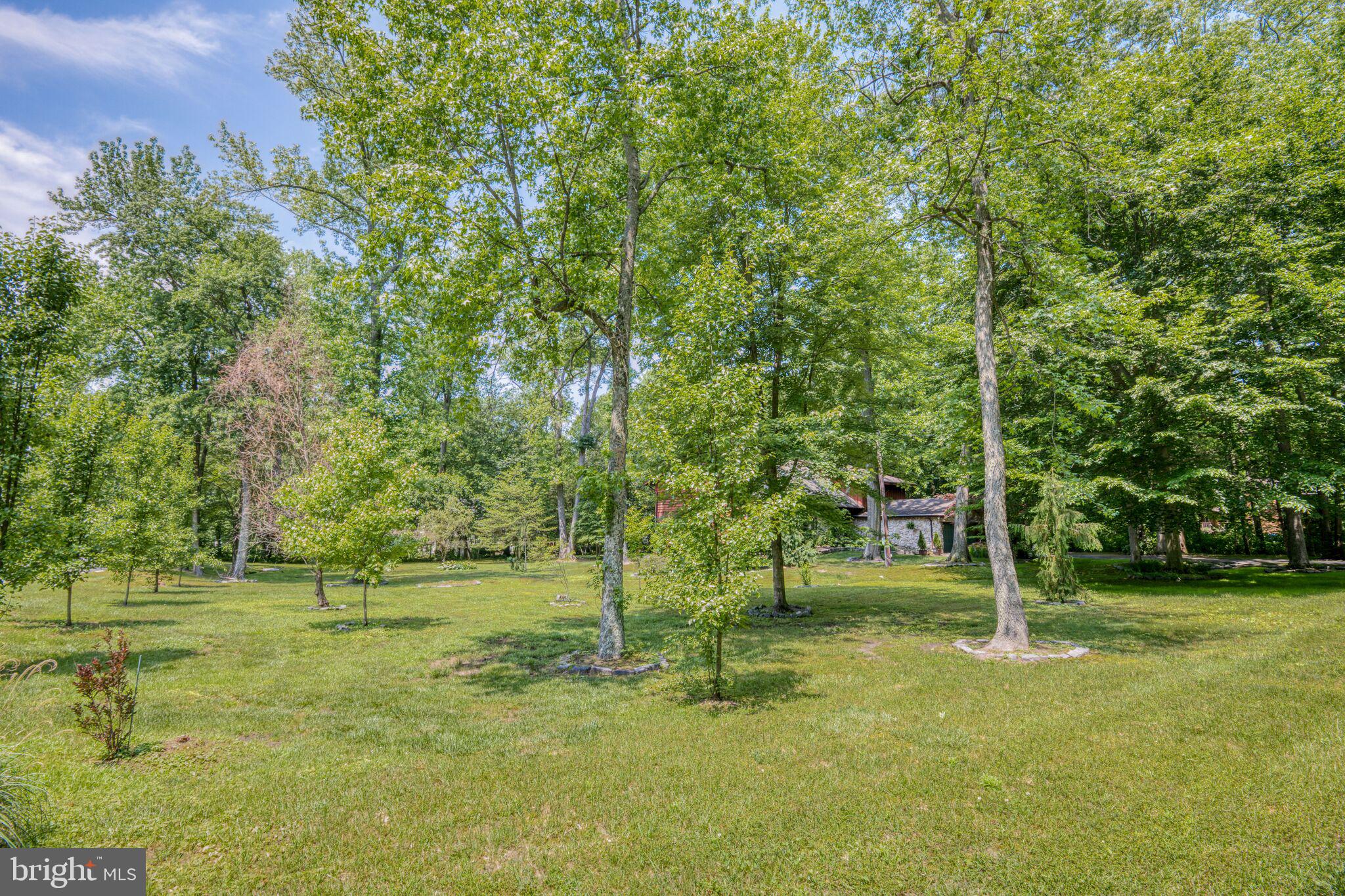 667 Jackson Road Mullica Hill, NJ 08062 - Photo 54 of 69 Side yard