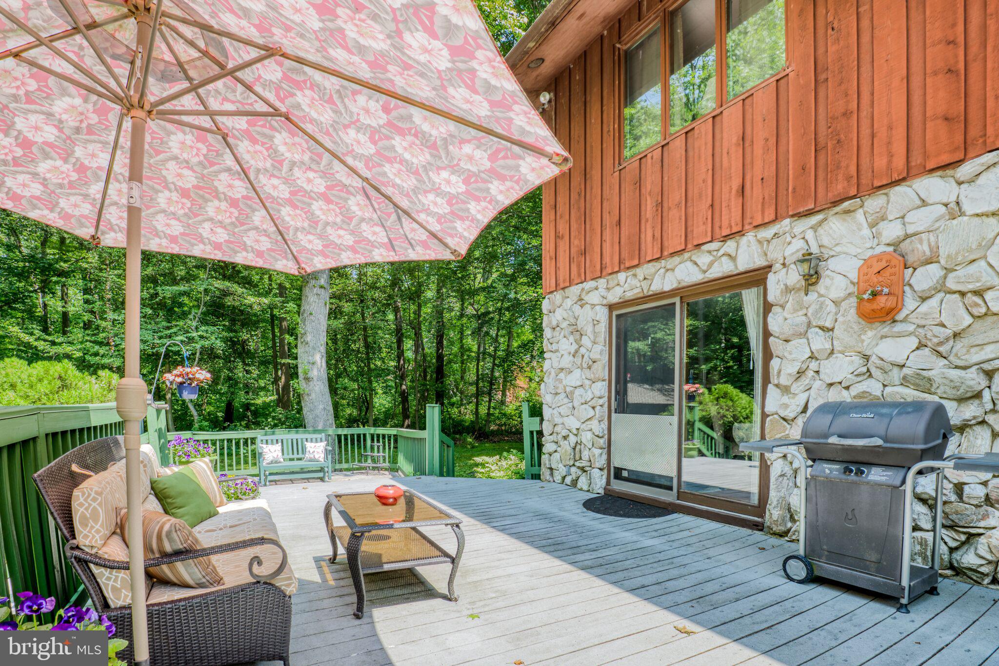667 Jackson Road Mullica Hill, NJ 08062 - Photo 57 of 69 Side yard