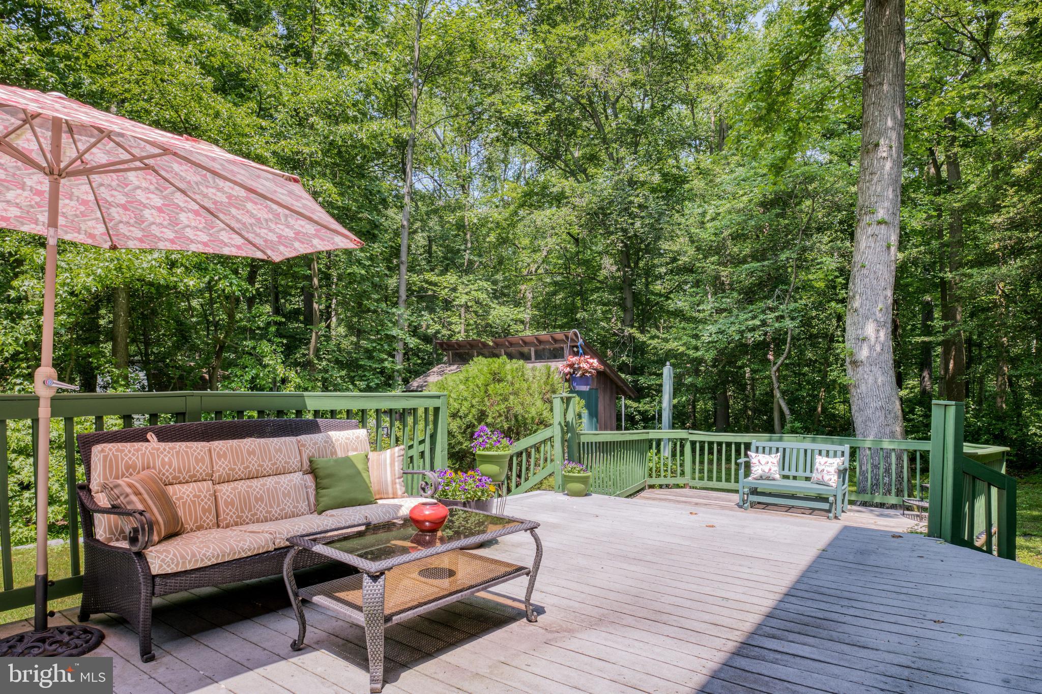 667 Jackson Road Mullica Hill, NJ 08062 - Photo 58 of 69 Side yard
