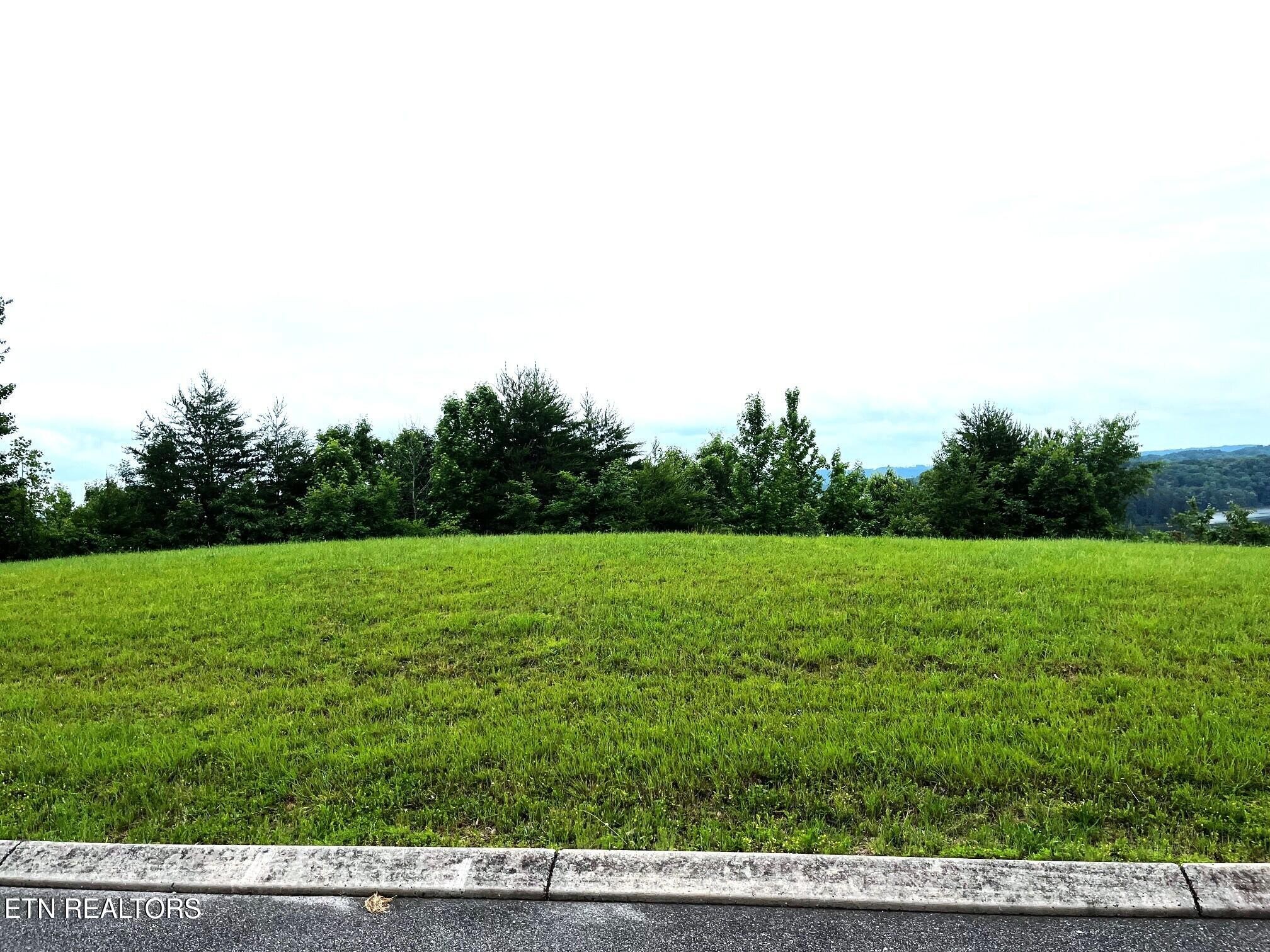 295 River Run Trail Spring City, TN 37381 - Photo 3 of 26