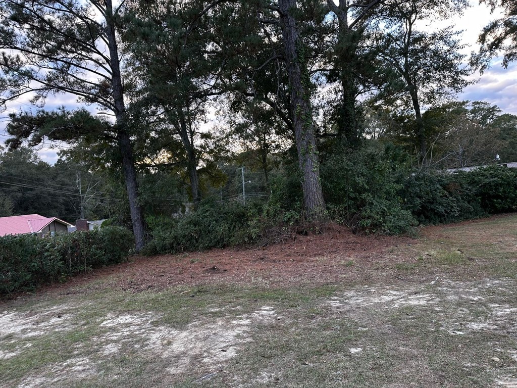 1318 Stanford Road Dothan, AL 36305 - Photo 30 of 33
