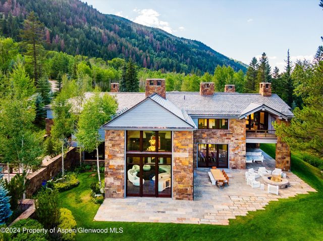 a view of a yard with plants and large trees