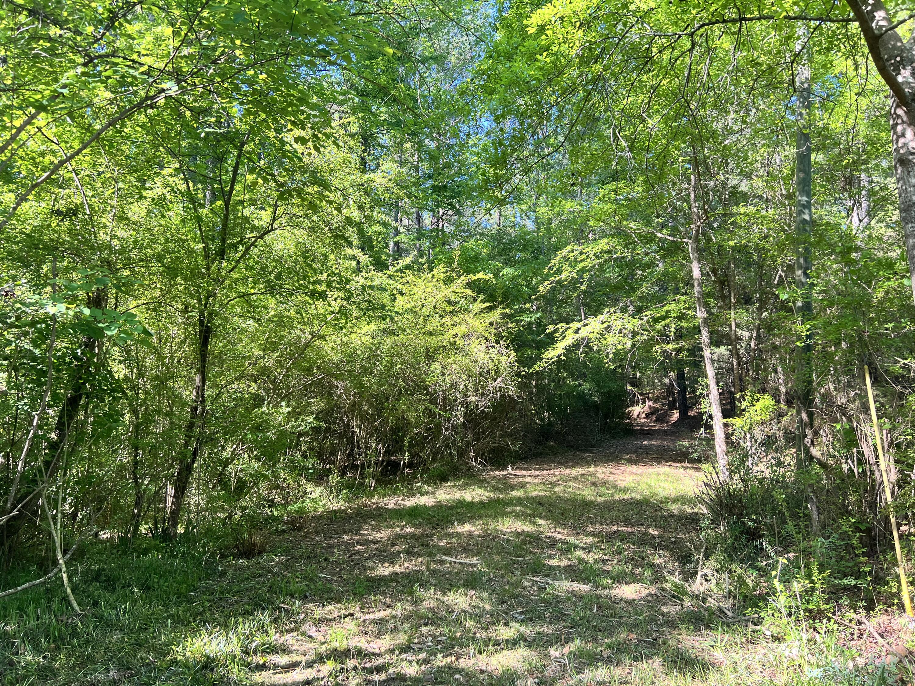 1899 Lonergan Hulme Road Appling, GA 30802 - Photo 1 of 3 Convenient & Private