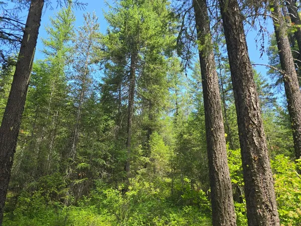 $7,000,000 | Tbd Tbd 395th Highway, Valley, WA 99181