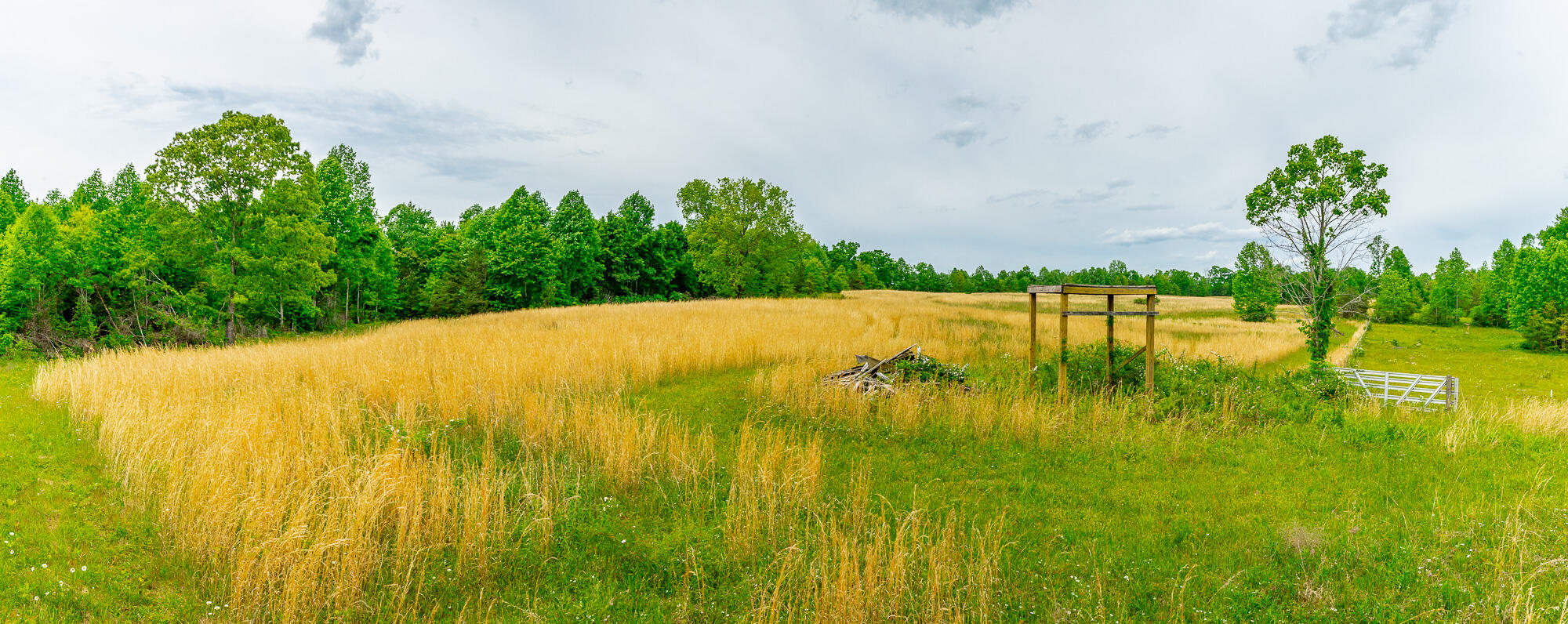 0 Ray Gadd Road Graysville, TN 37338 - Photo 42 of 109 Ray Gadd Road Lot HD-34