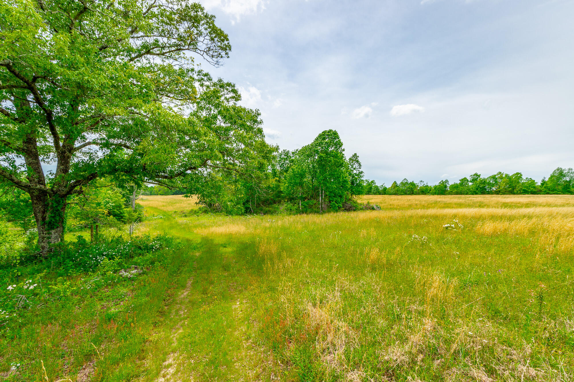 0 Ray Gadd Road Graysville, TN 37338 - Photo 54 of 109 Ray Gadd Road Lot HD-46