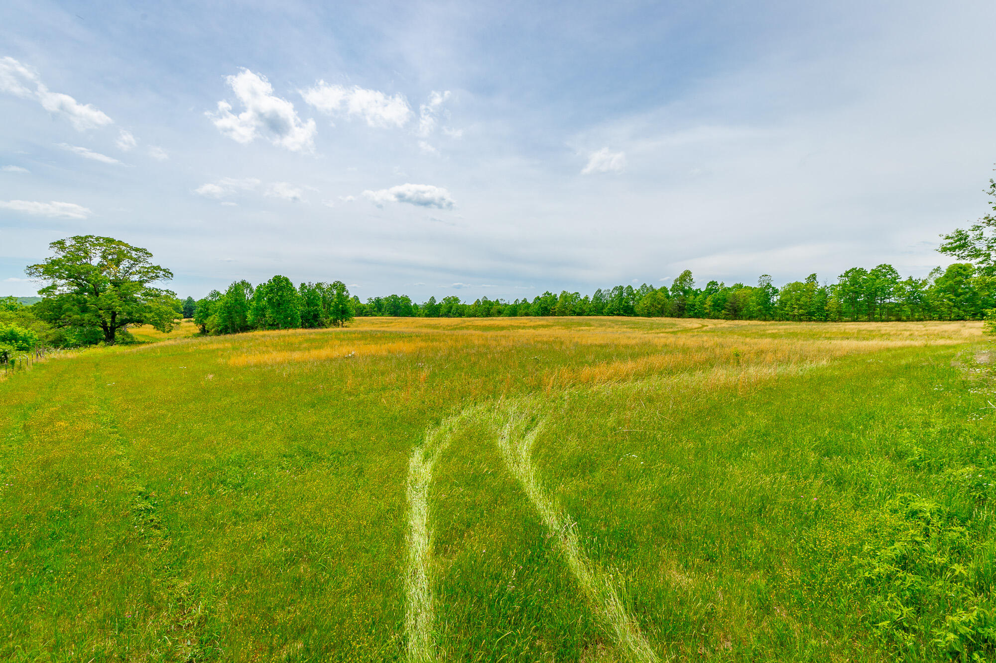0 Ray Gadd Road Graysville, TN 37338 - Photo 61 of 109 Ray Gadd Road Lot HD-53