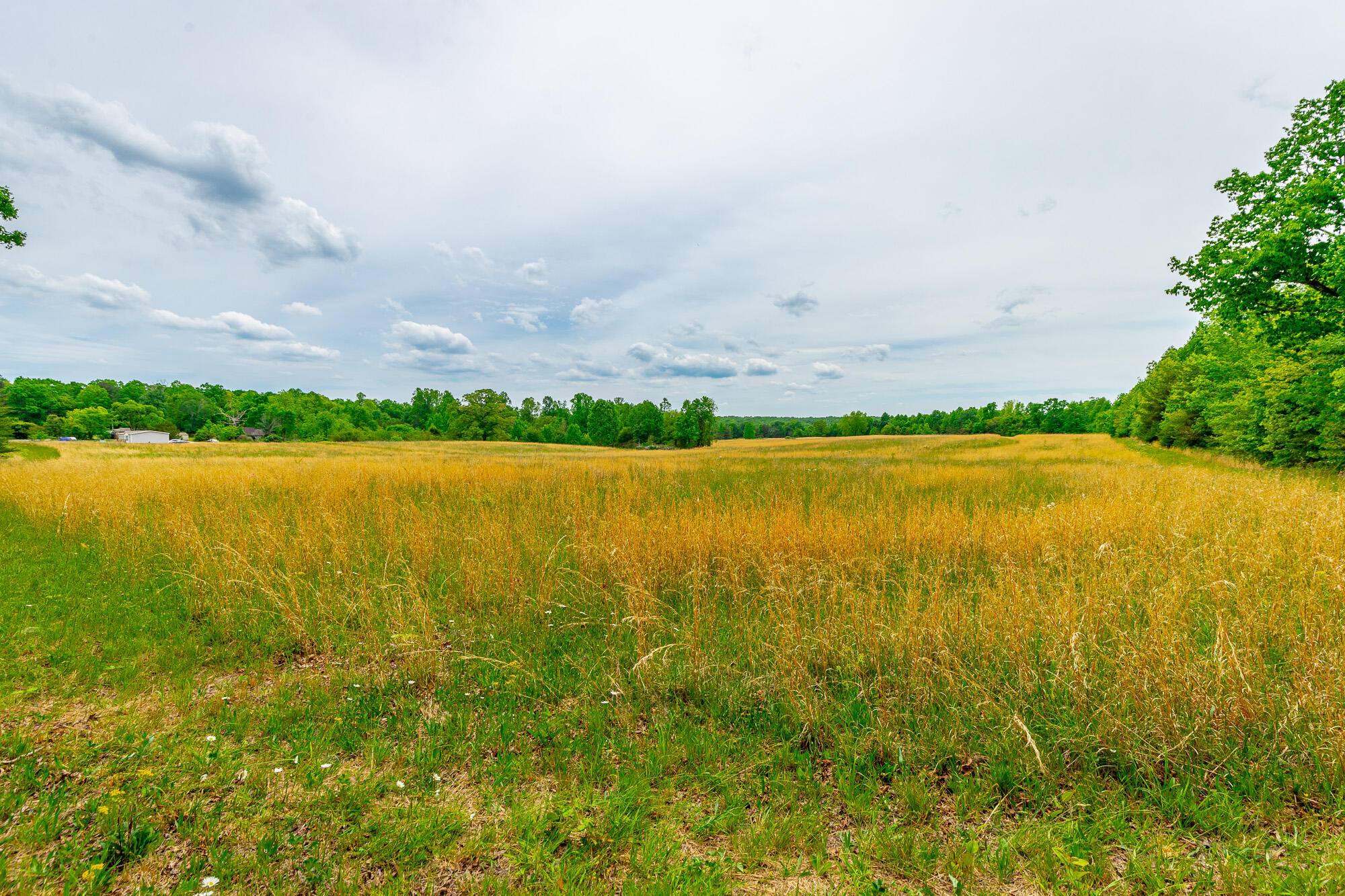 0 Ray Gadd Road Graysville, TN 37338 - Photo 66 of 109 Ray Gadd Road Lot HD-3
