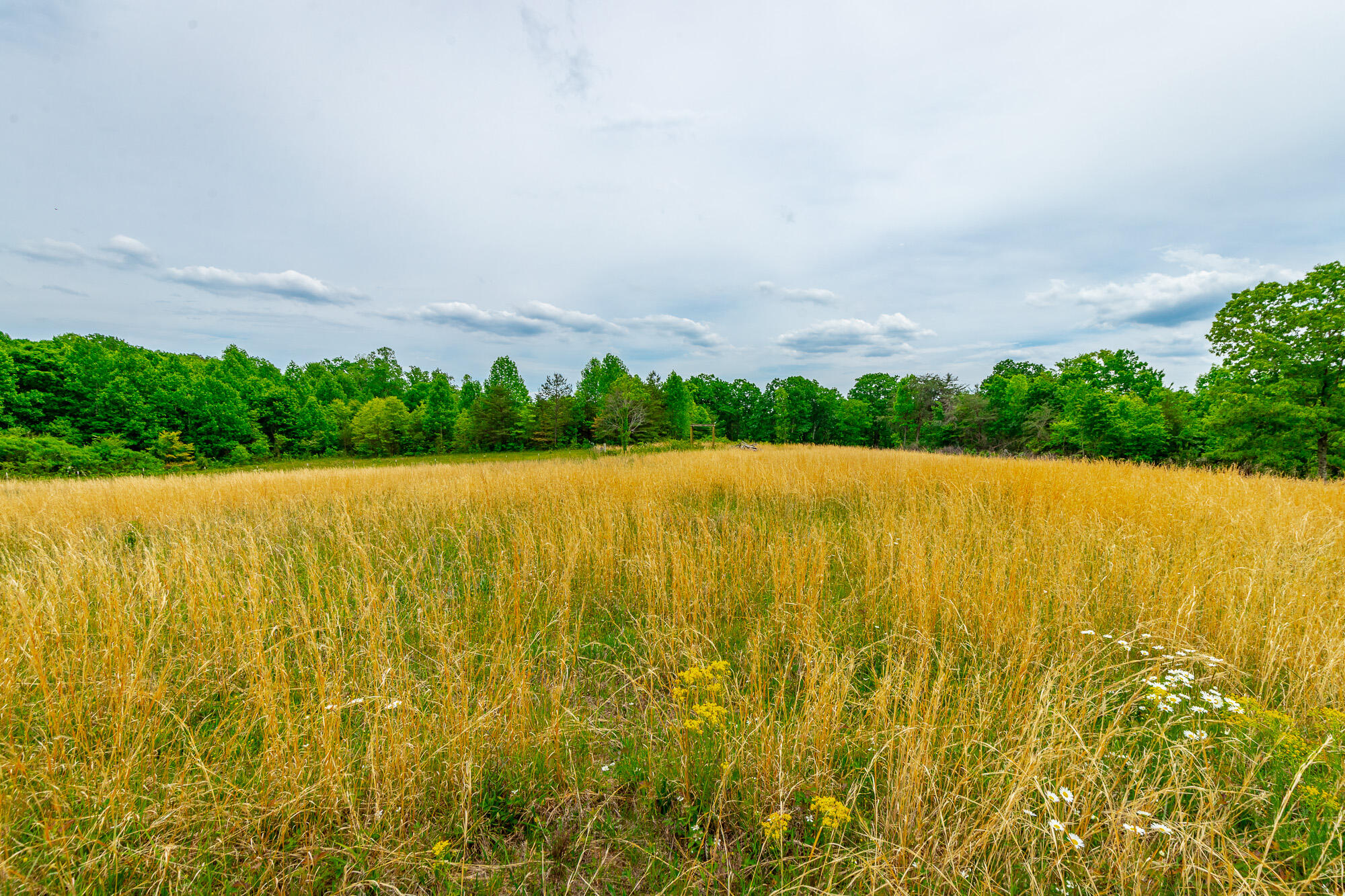 0 Ray Gadd Road Graysville, TN 37338 - Photo 7 of 109 Ray Gadd Road Lot HD-9