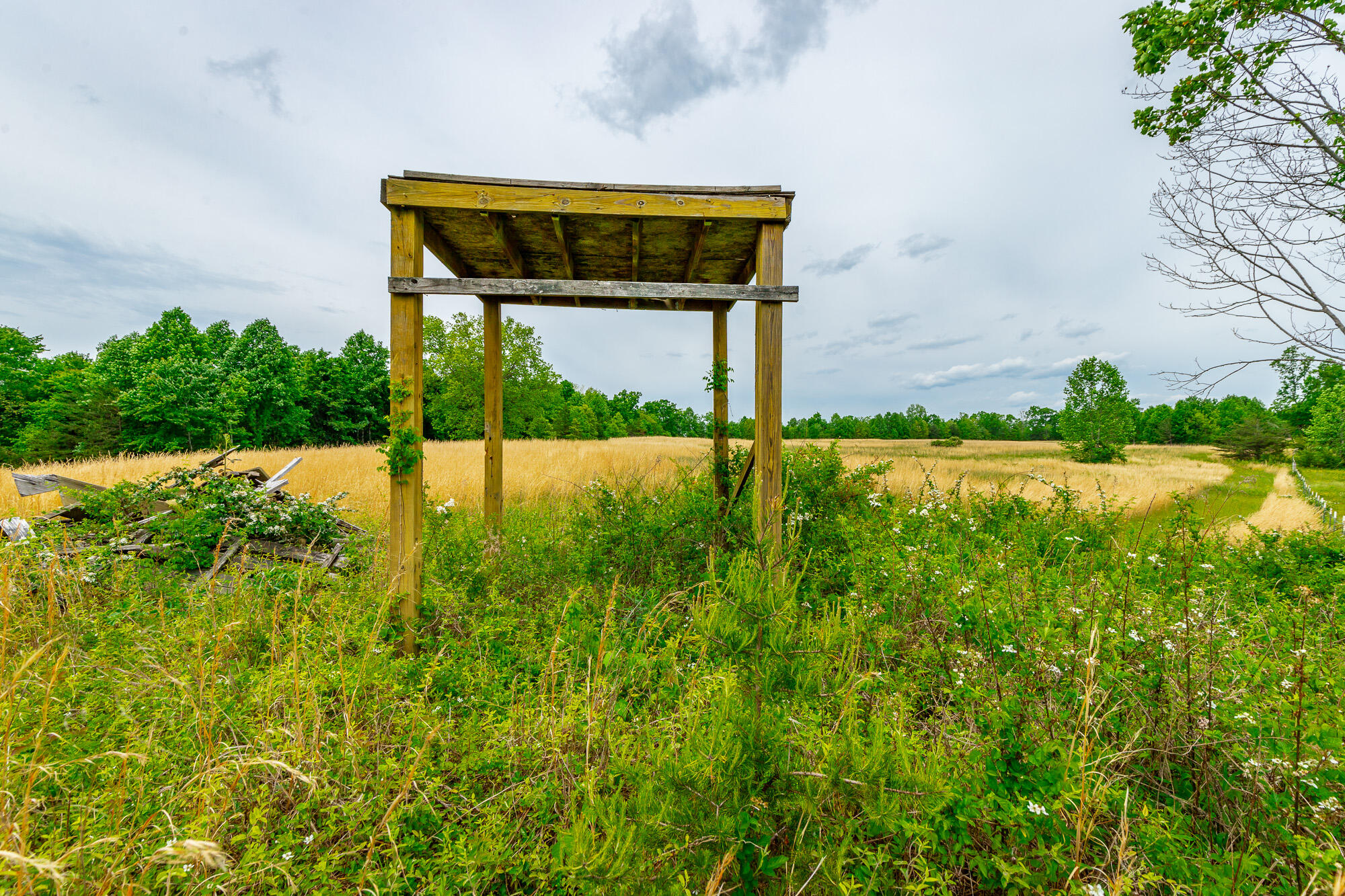 0 Ray Gadd Road Graysville, TN 37338 - Photo 77 of 109 Ray Gadd Road Lot HD-22