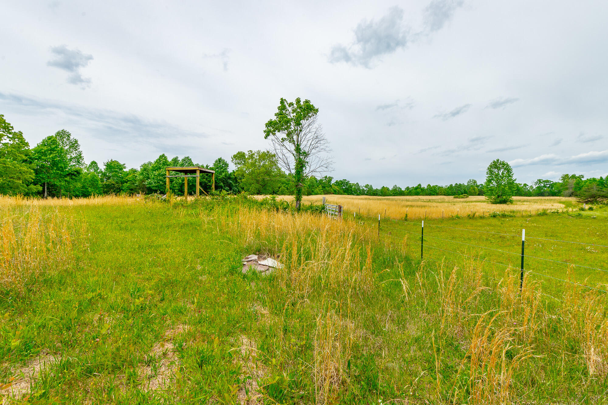 0 Ray Gadd Road Graysville, TN 37338 - Photo 79 of 109 Ray Gadd Road Lot HD-24