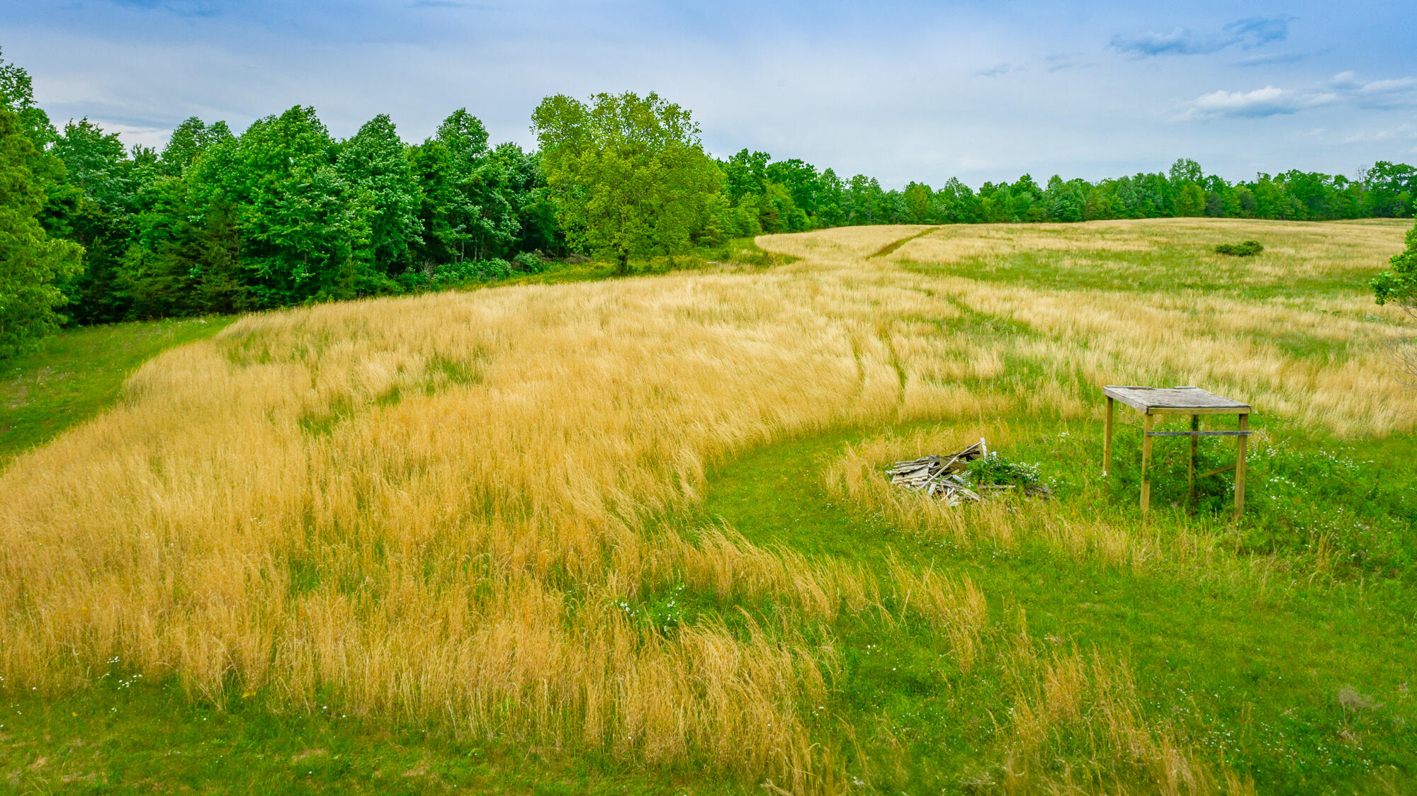 0 Ray Gadd Road Graysville, TN 37338 - Photo 8 of 109 Ray Gadd Road Lot HD-79