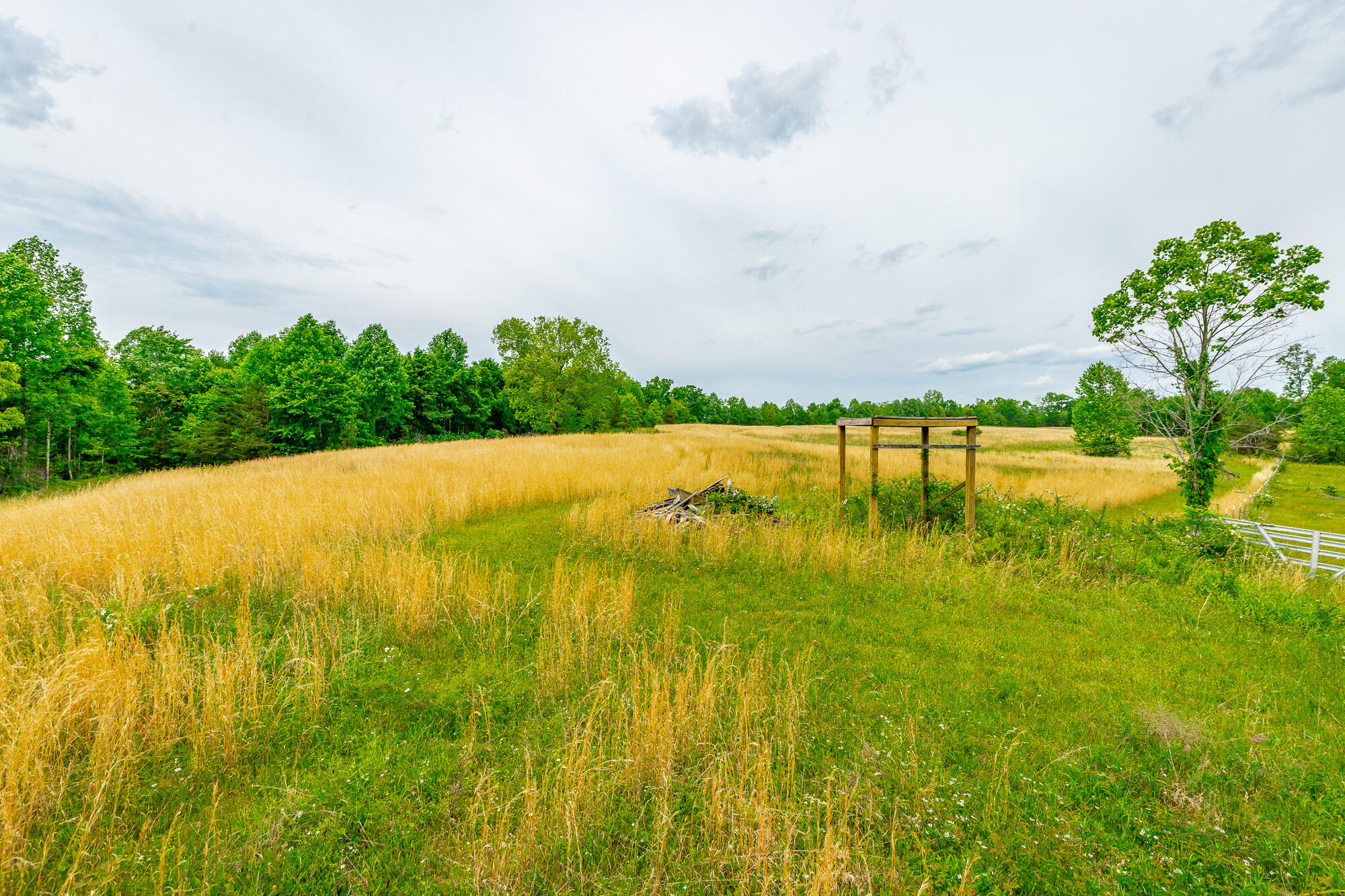 0 Ray Gadd Road Graysville, TN 37338 - Photo 81 of 109 Ray Gadd Road Lot HD-26