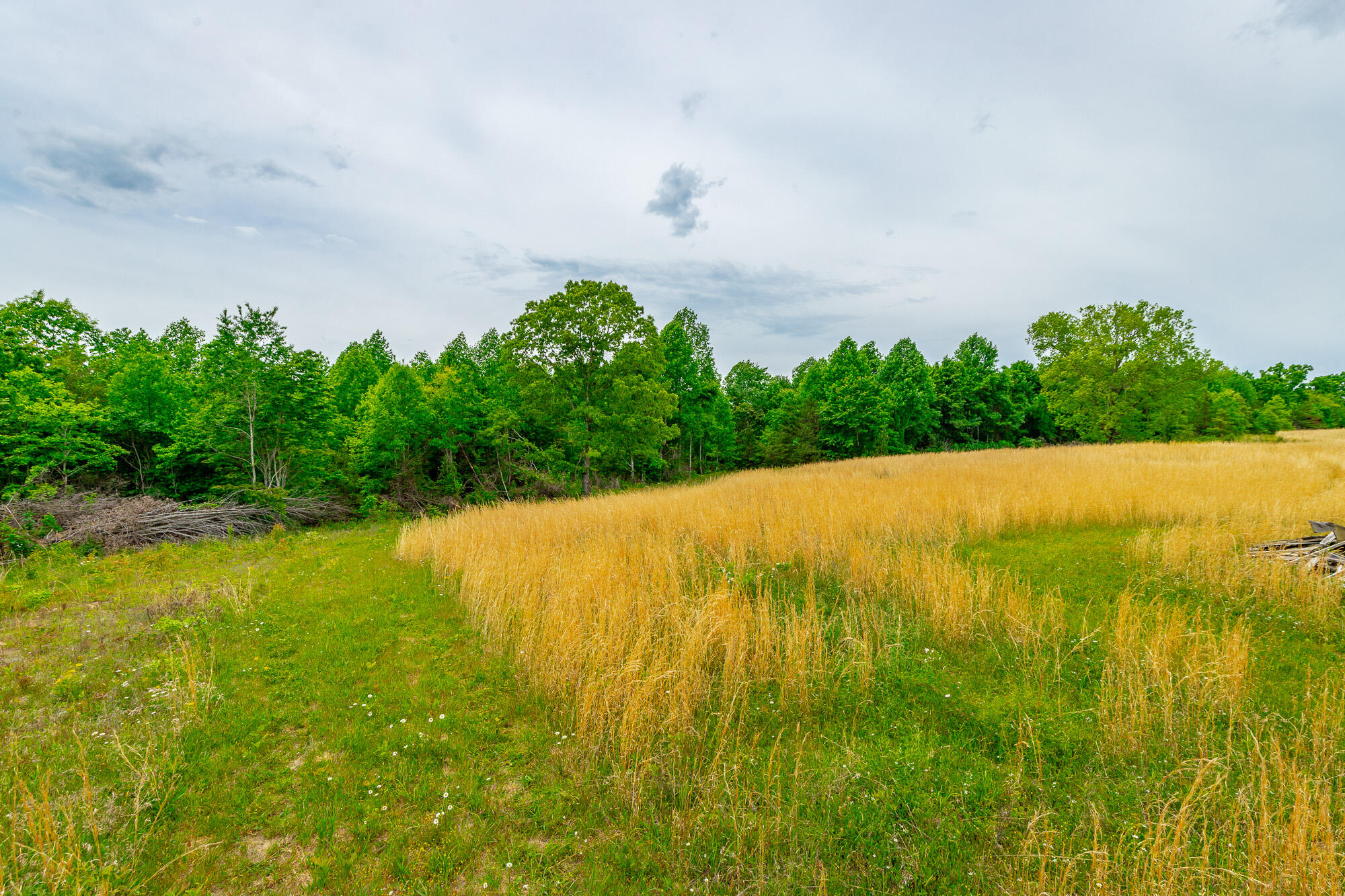 0 Ray Gadd Road Graysville, TN 37338 - Photo 83 of 109 Ray Gadd Road Lot HD-28