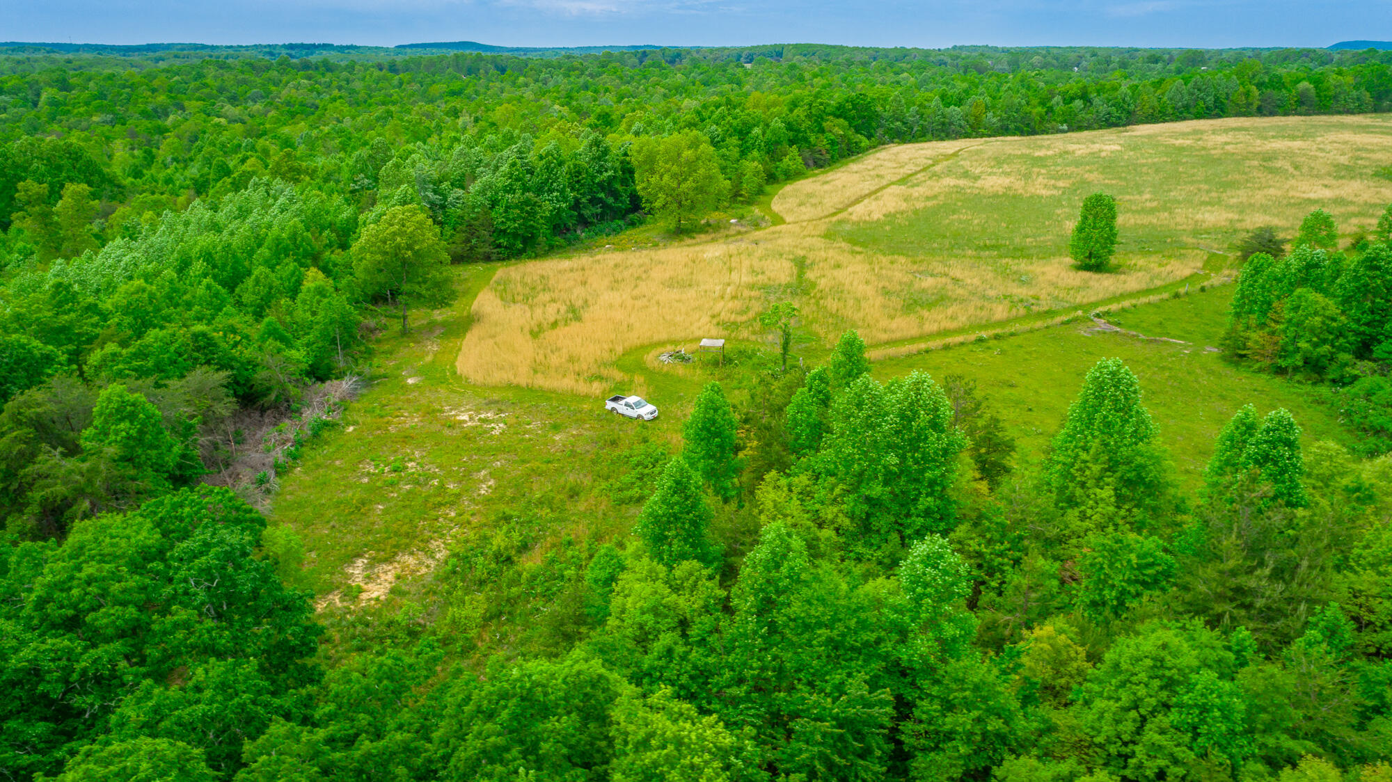 0 Ray Gadd Road Graysville, TN 37338 - Photo 88 of 109 Ray Gadd Road Lot HD-113