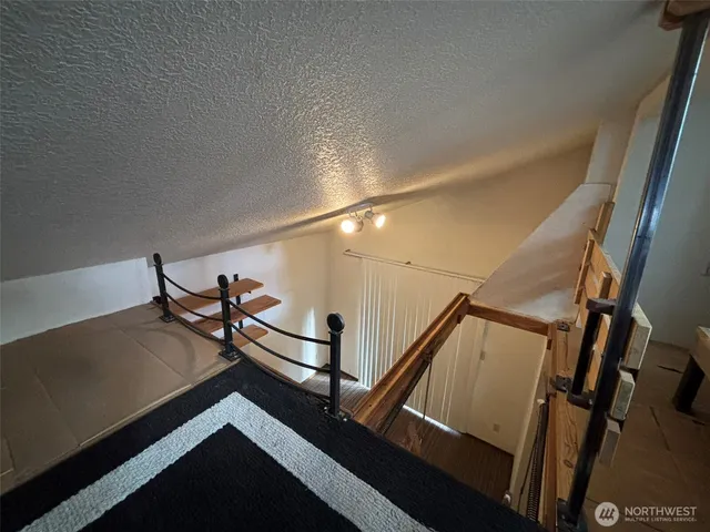 a view of a small yard with large trees and wooden fence