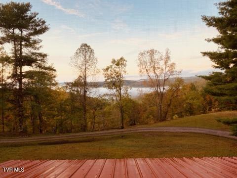 3524 Fairfax Road Coeburn, VA 24230 - Photo 17 of 41 1000022307