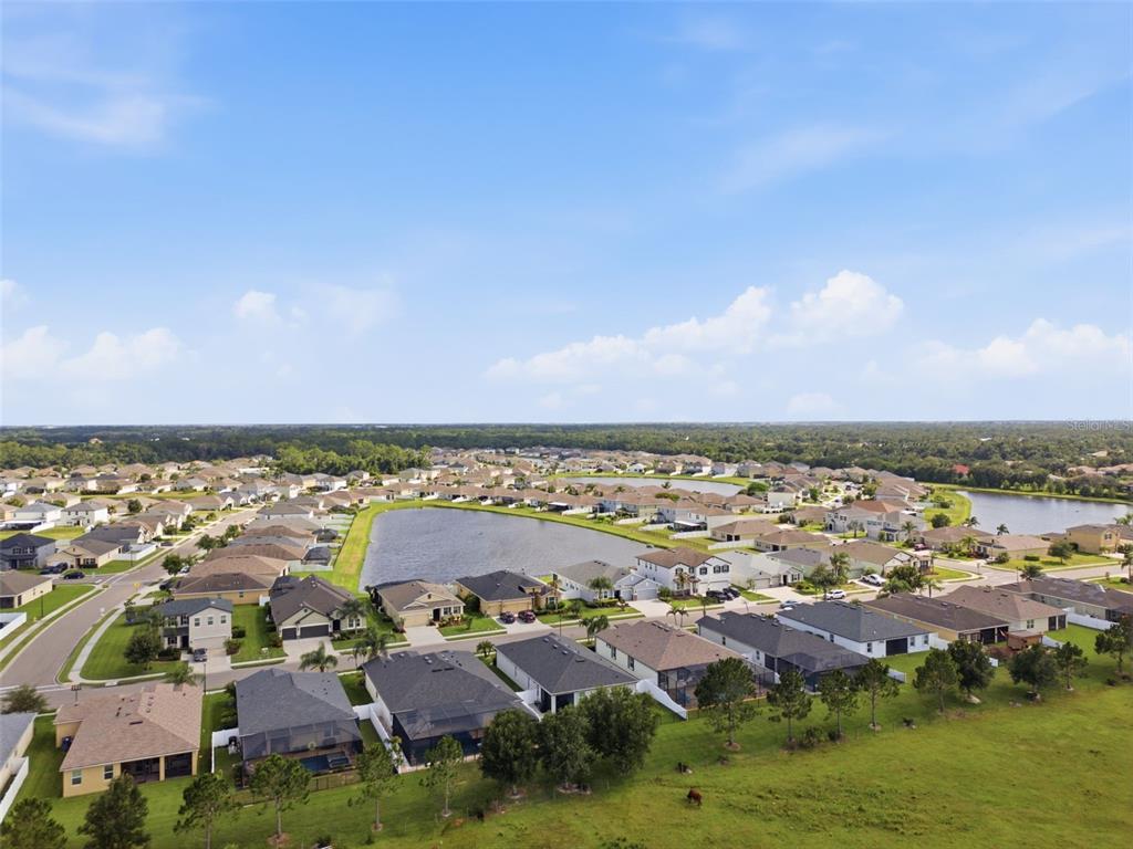 15020 Trinity Fall Way Bradenton, FL 34212 - Photo 59 of 66