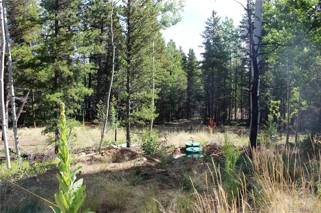 a view of yard with green space