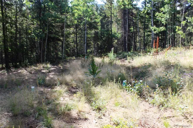a view of outdoor space with trees all around