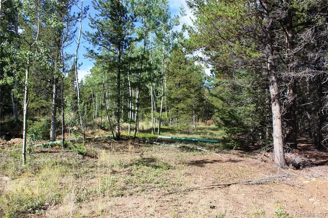 a view of a backyard of the house