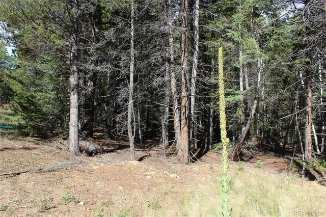 a view of a lake with a tree