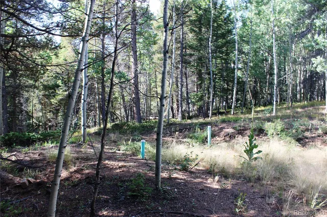 a view of outdoor space with trees