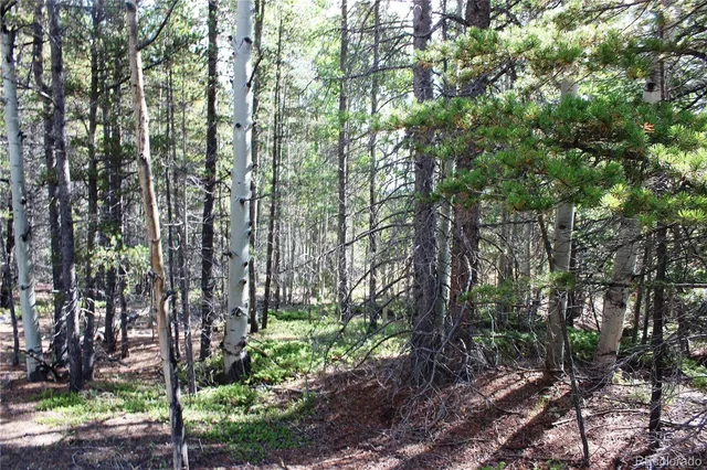 a view of a yard covered in snow
