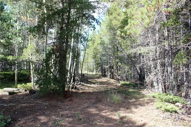 a view of a yard with trees